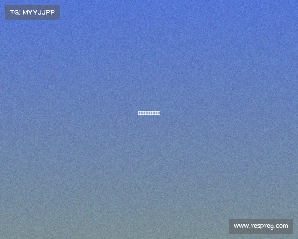 镭射狗音乐版权购买